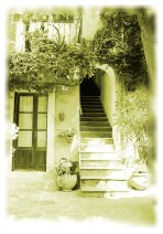 Orta